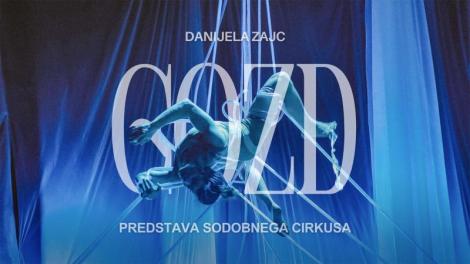 Gozd (1) 1