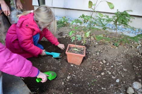 Foto: Tamás Tuza (1) 1