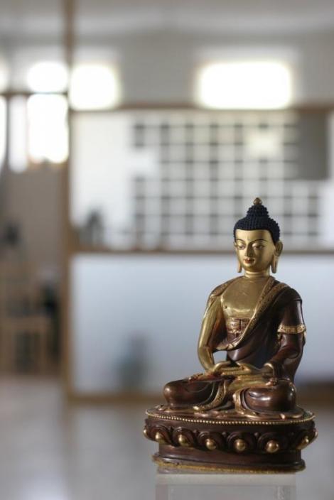 Budizem diamantne poti v modernem svetu (1) 1