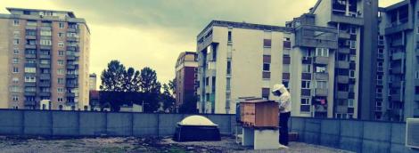 Pogovor s pisateljem Dušanom Šarotarjem in Urbanim čebelarjem Gorazdom Trušnovcem (1) 1