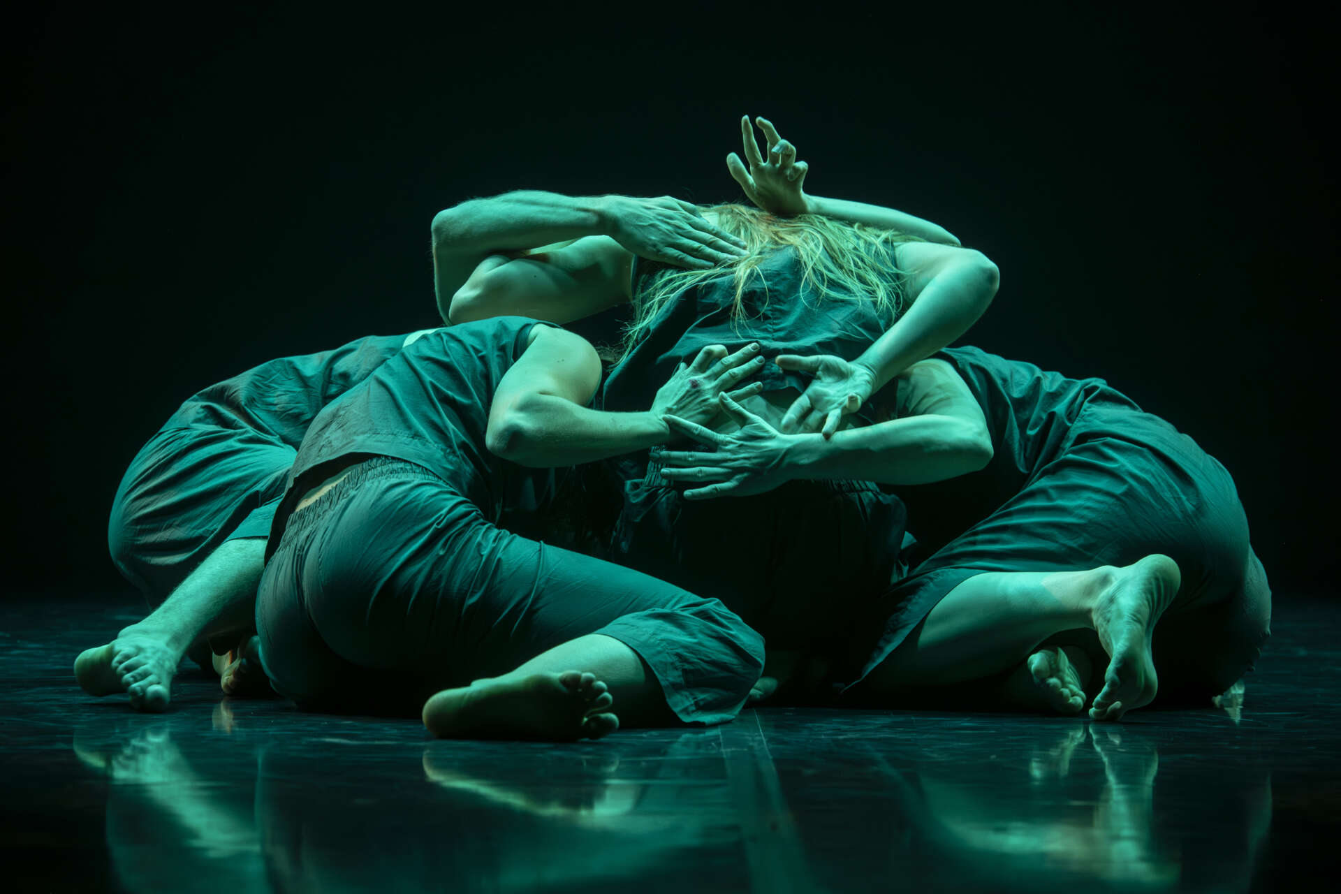 Martin Krpan En Knap By Ziga Koritnik2025 3